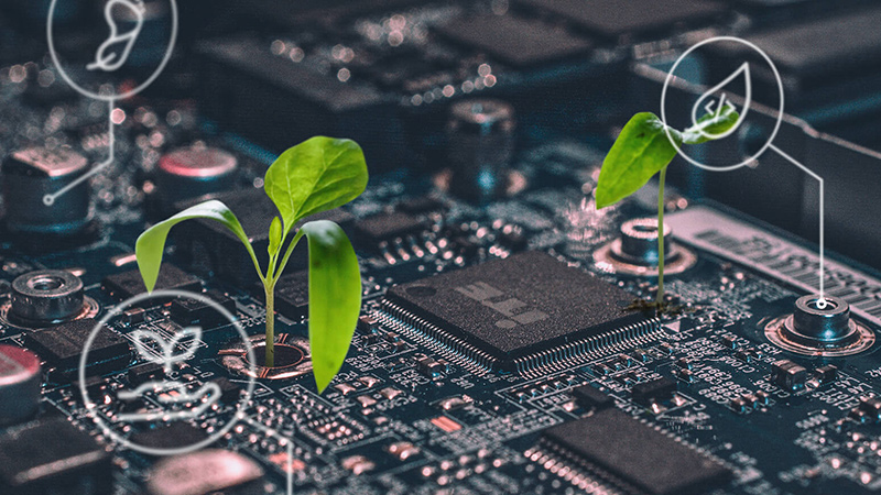 A felhőalapú ügyviteli rendszerek és a fenntarthatóság